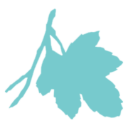 Fig Financial Personal Loan